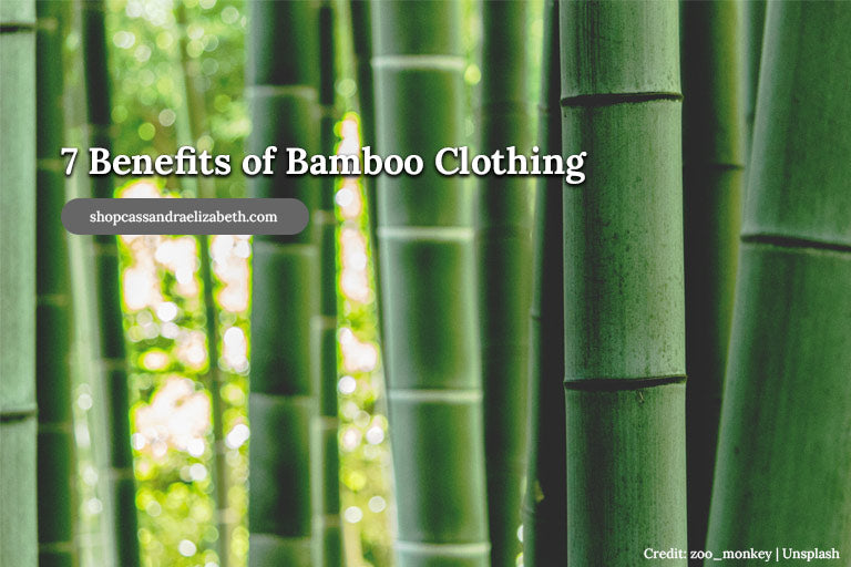 
          
            7 Benefits of Bamboo Clothing
          
        
